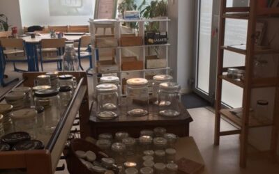 Infolettre n°9 – 8 mars 2022