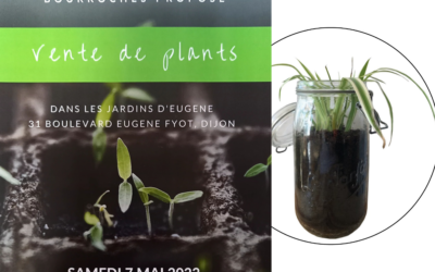 [ Evénement ] Les Jardins d&rsquo;Eugène – le 07 mai 2022