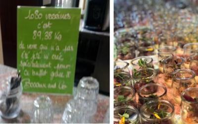 Infolettre n°12 – 28 juillet 2022