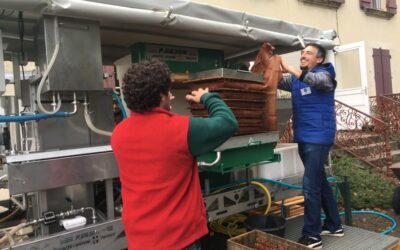 [ Evénement ] Ramène ta pomme – samedi 15 octobre 2022