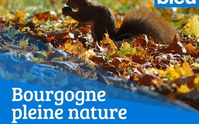 [ article ] – « Bourgogne pleine nature” – 12 novembre 2023