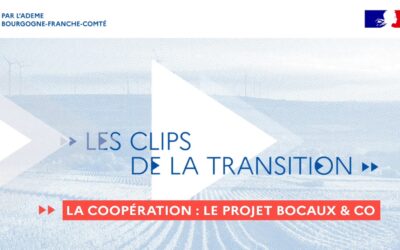 [ article ] – « La coopération en action” –