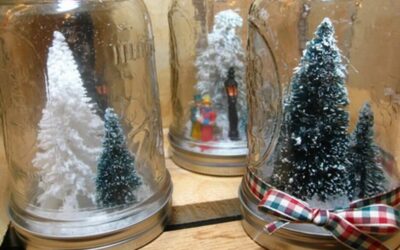 Infolettre n°26 – du 30 novembre 2025