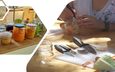 Infolettre n°24 – du 3 septembre 2025