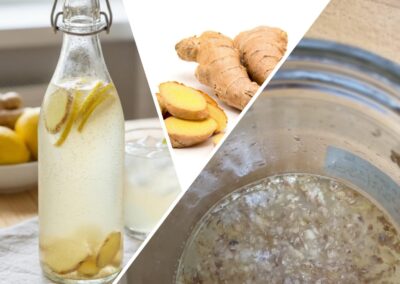 Boissons fermentées : la Ginger beer