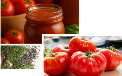 Pasteurisation : la sauce tomate aux herbes