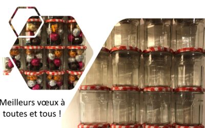 Infolettre n°22 – 27 janvier 2025